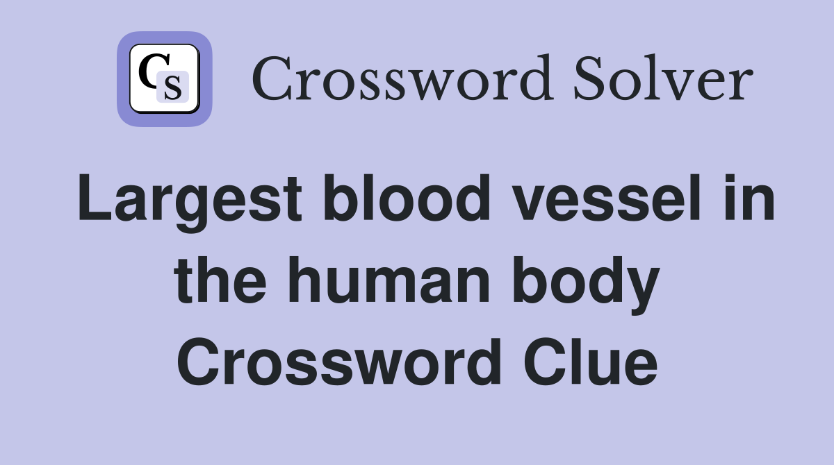 largest-blood-vessel-in-the-human-body-crossword-clue-answers